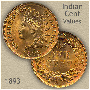 1893 Indian Head Penny grading strip showing four condition tiers: Good, Fine, About Uncirculated, and Uncirculated examples side by side